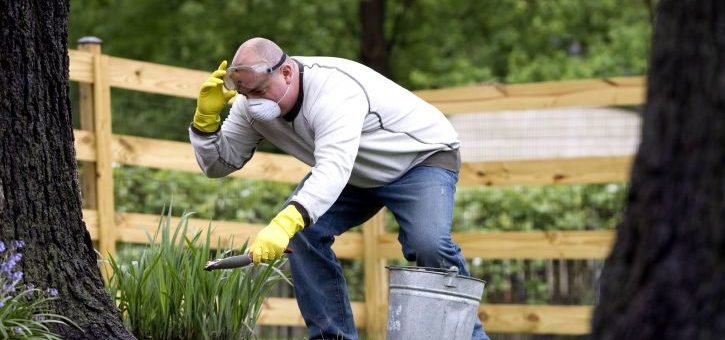Pourquoi faire appel à un jardinier pour l’entretien de son espace vert?