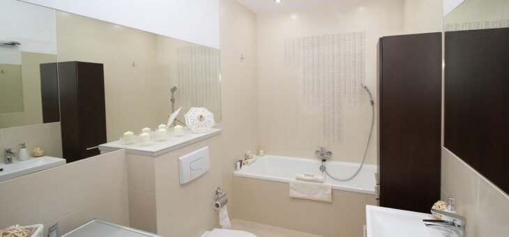 Rénovation d’intérieur : pourquoi et comment moderniser sa salle de bain ?