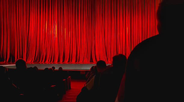 Spectacle : comment choisir une animation adaptée à votre événement ?
